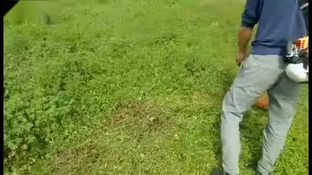 Top Quality 52cc Gasoline Brush Cutter for Garden